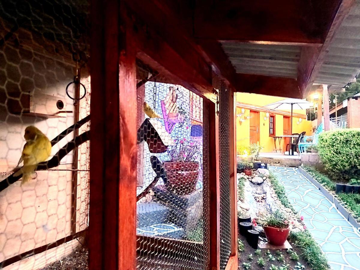 Recanto Das Cerejeiras Campos do Jordao Ngoại thất bức ảnh